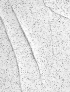 Exfoliant Corporel Volcanique Regenerant