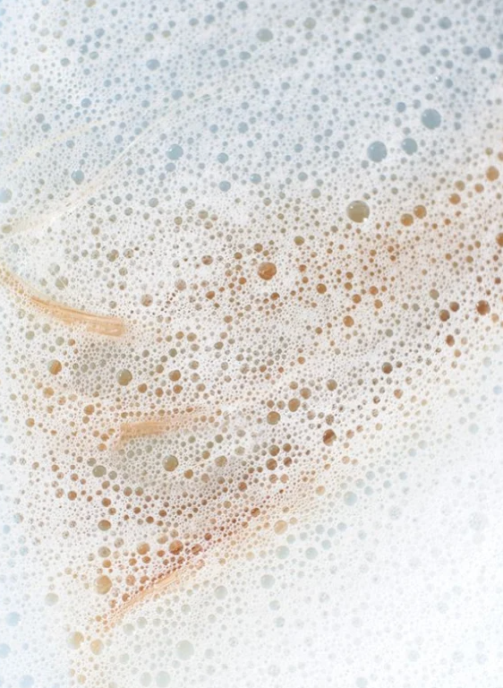 Cleanser ColorEclat