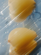 Traitement NutriVolume